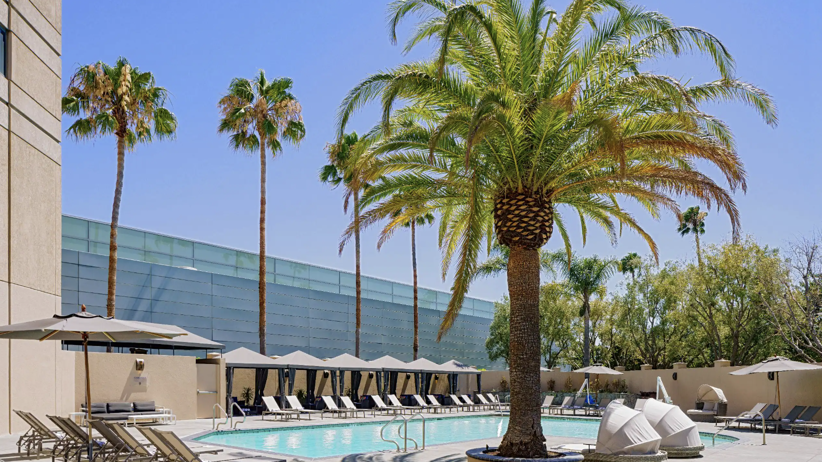 Hyatt Regency Santa Clara Outdoor Pool